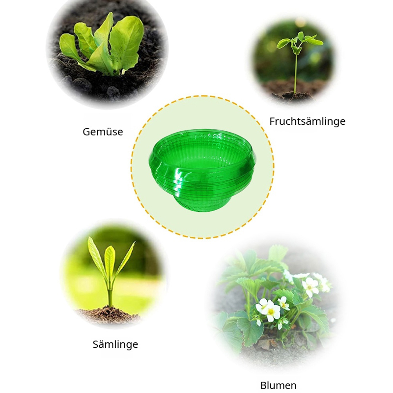 Grüner transparenter Schutzschirm für Gemüse