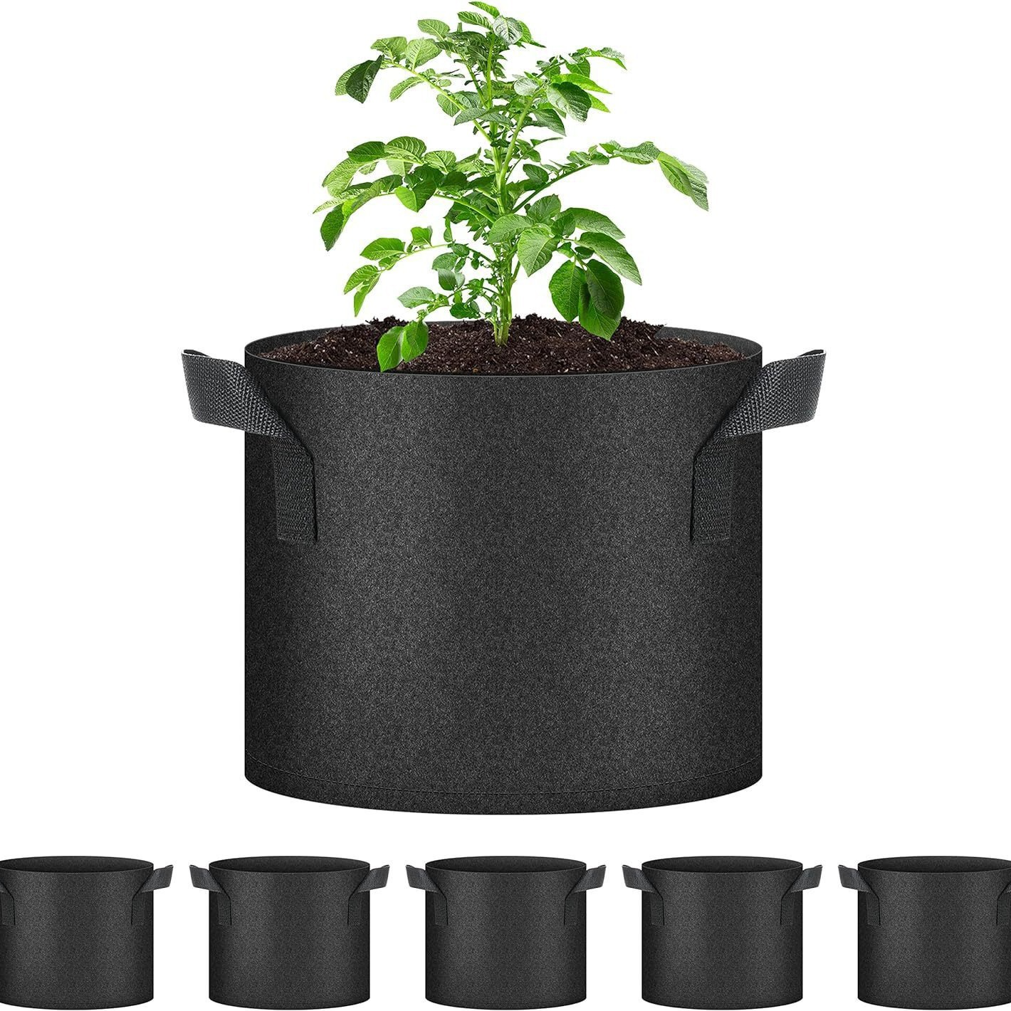 Schwarzer Pflanzsack 