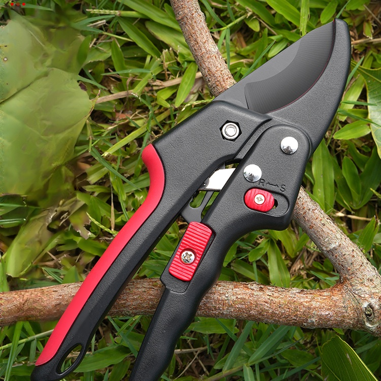 Ratschen-Gartenschere