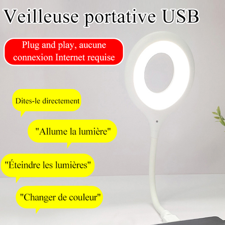 Veilleuse portative USB