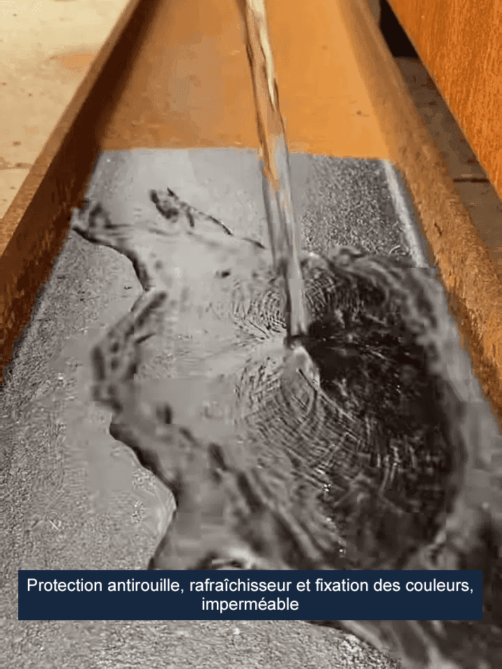 【nouvelle mise à niveau】Convertisseur de rouille（Remise à neuf/coloration）