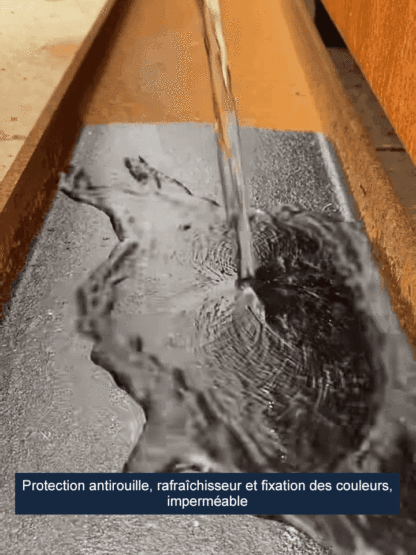 【nouvelle mise à niveau】Convertisseur de rouille（Remise à neuf/coloration）