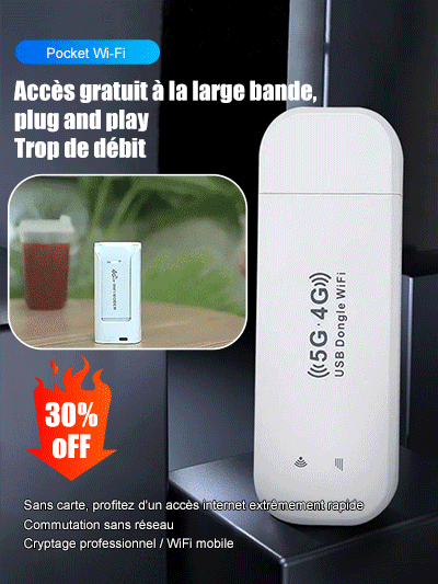 Carte Internet sans fil Plateau Carry WIFI
