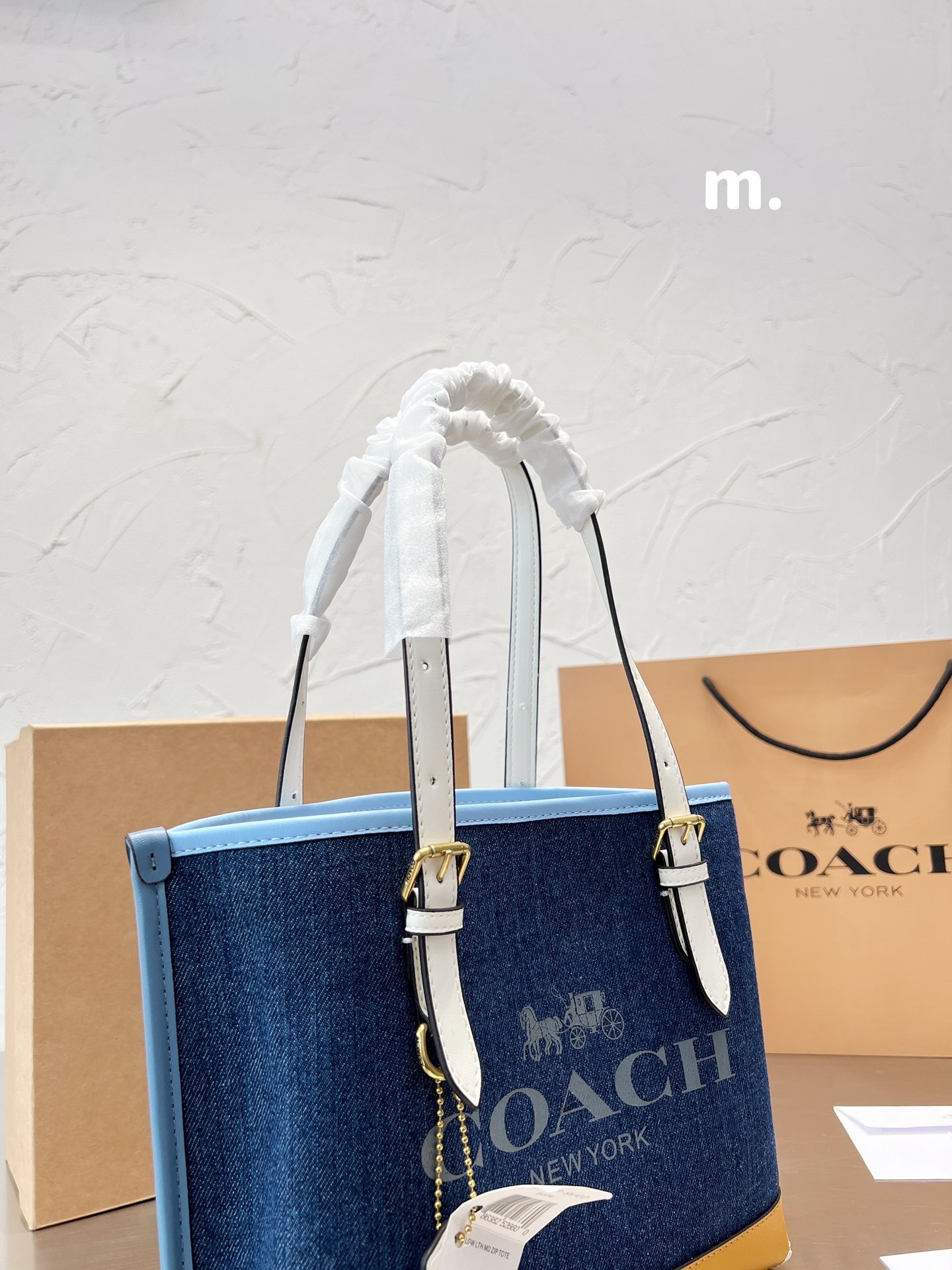 Coach mollie 25 women totebags-Luxeon