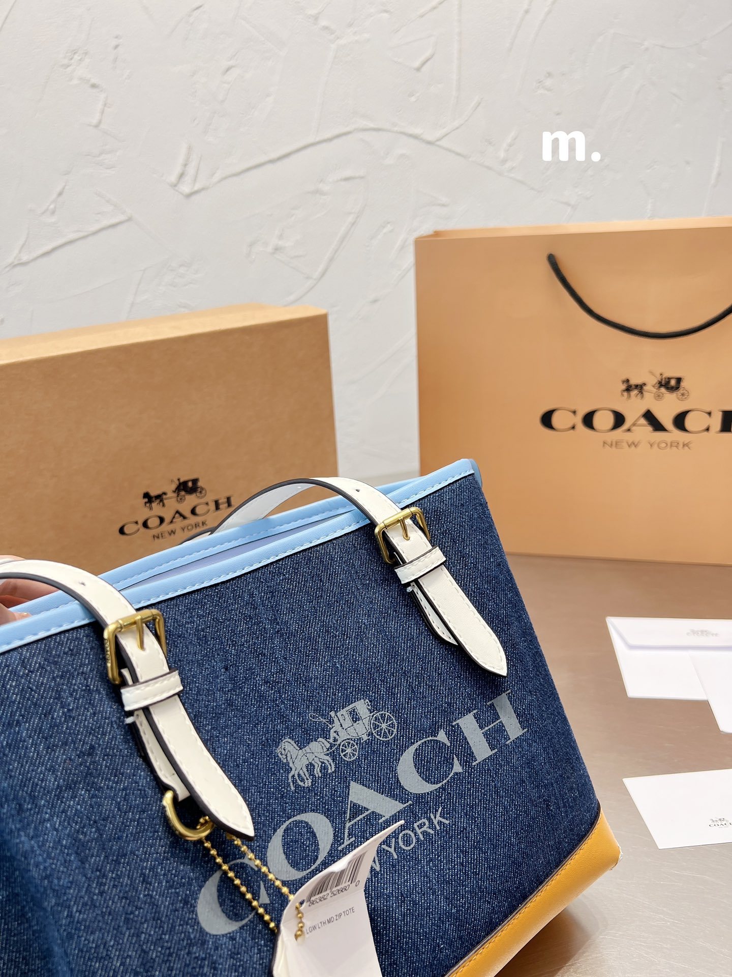 Coach mollie 25 women totebags-Luxeon