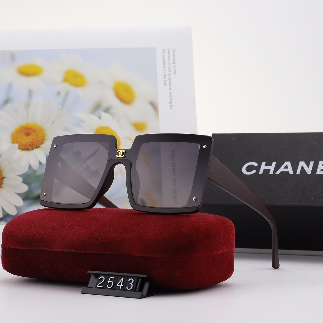 CHA Fashion New Retro Sunglasses-Luxeon