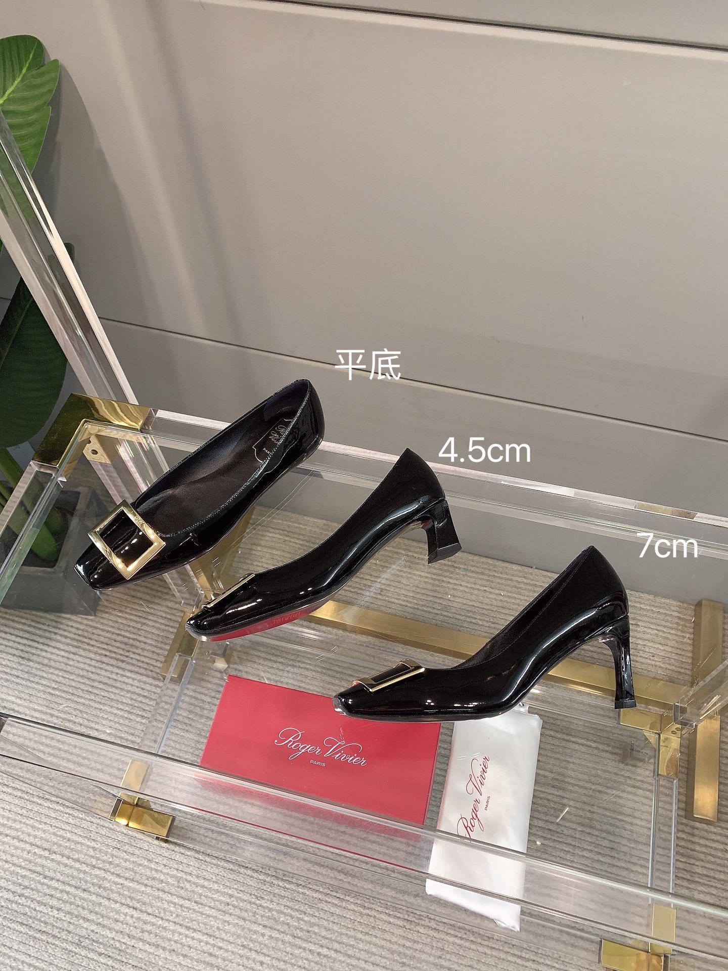 Roger Vivie Women Square Buckle Stiletto-Luxeon