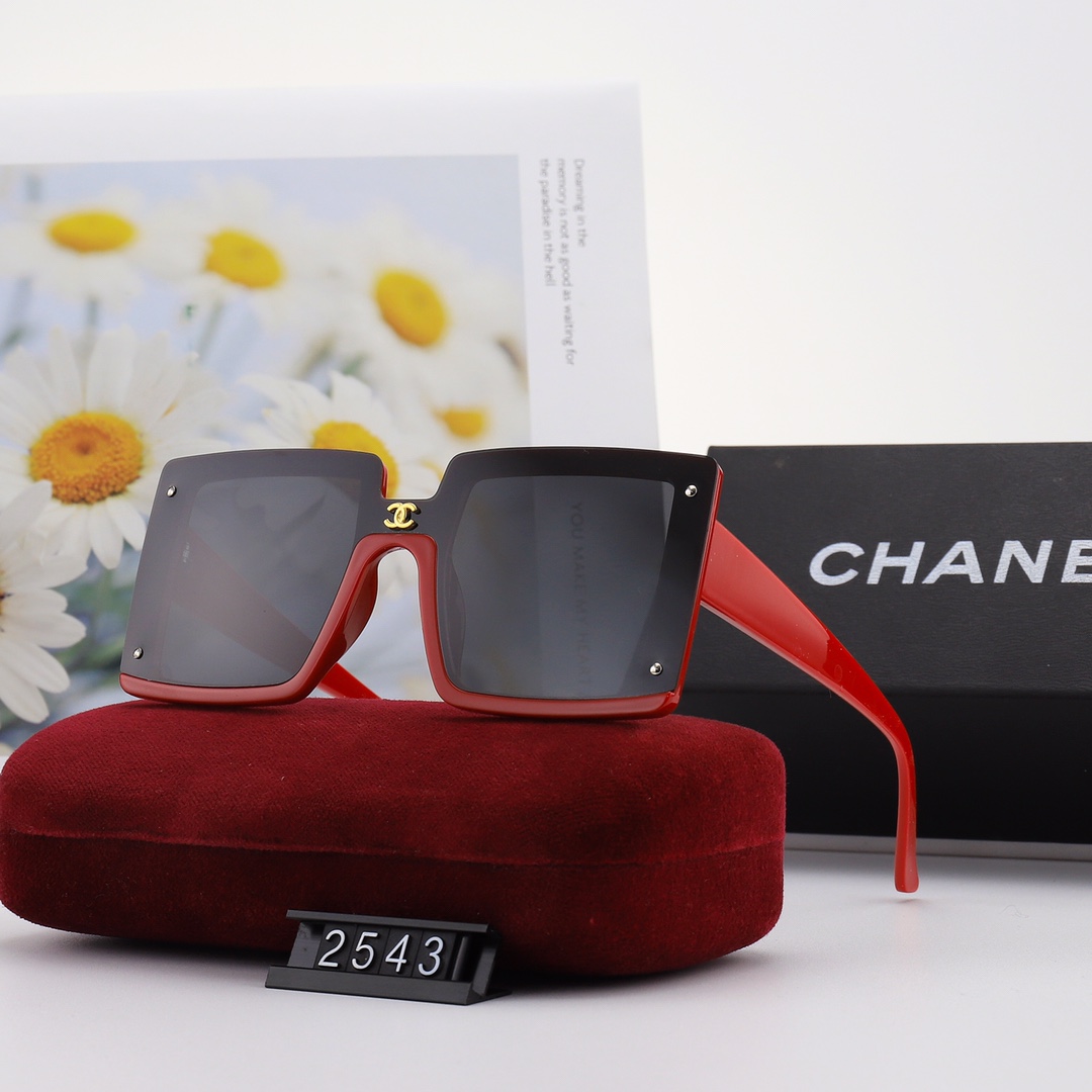 CHA Fashion New Retro Sunglasses-Luxeon