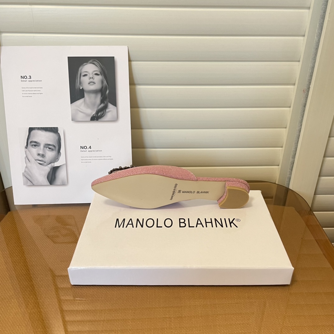 Manolo Blahnik pointed toe flat slippers-Luxeon