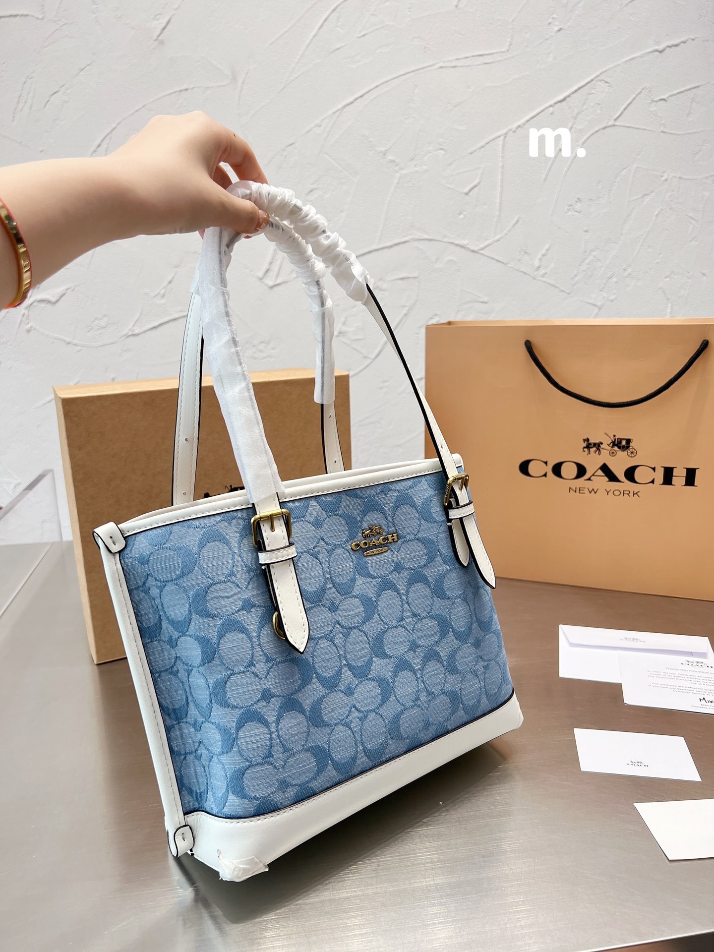 Coach mollie 25 women totebags-Luxeon