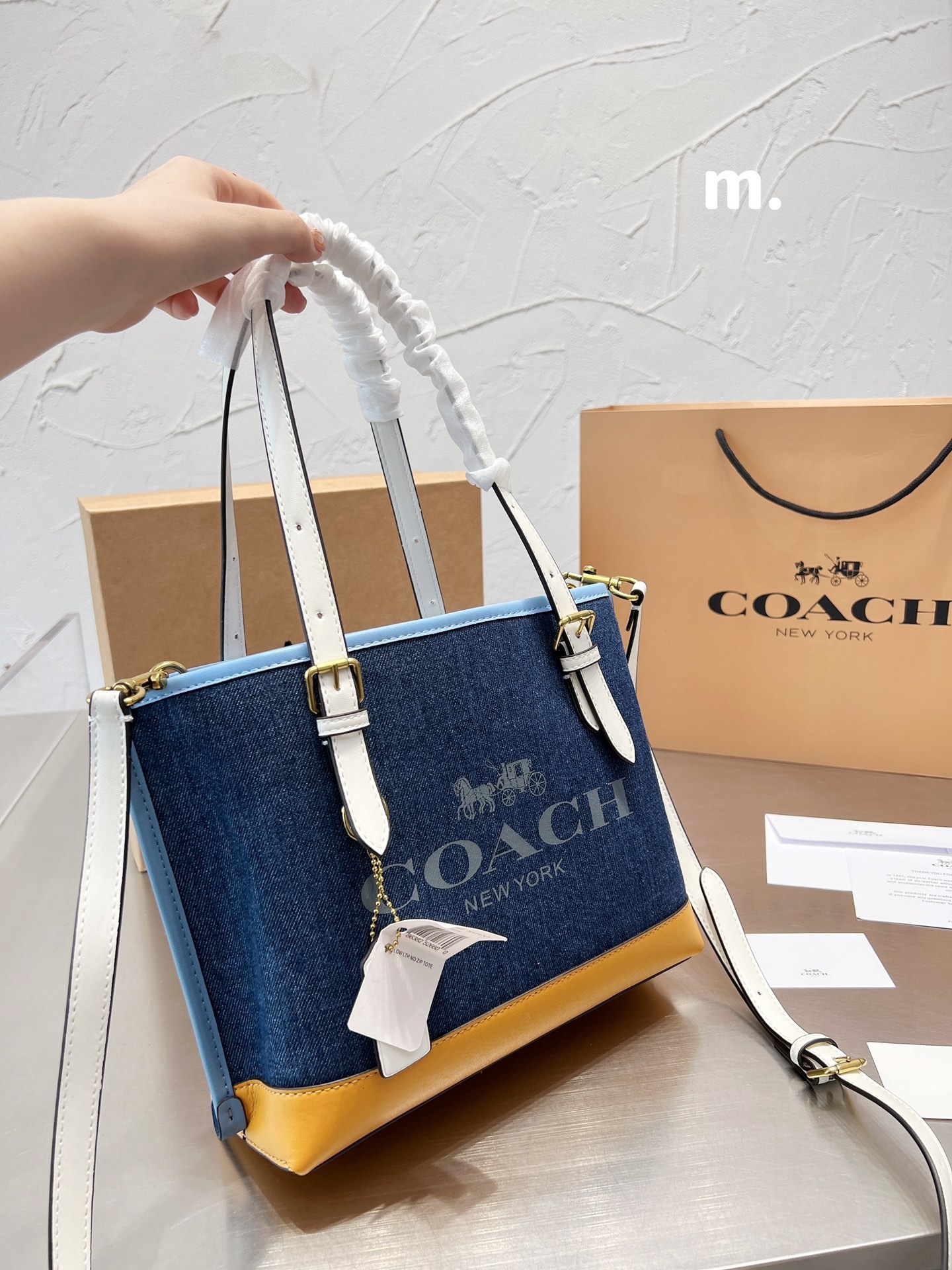 Coach mollie 25 women totebags-Luxeon