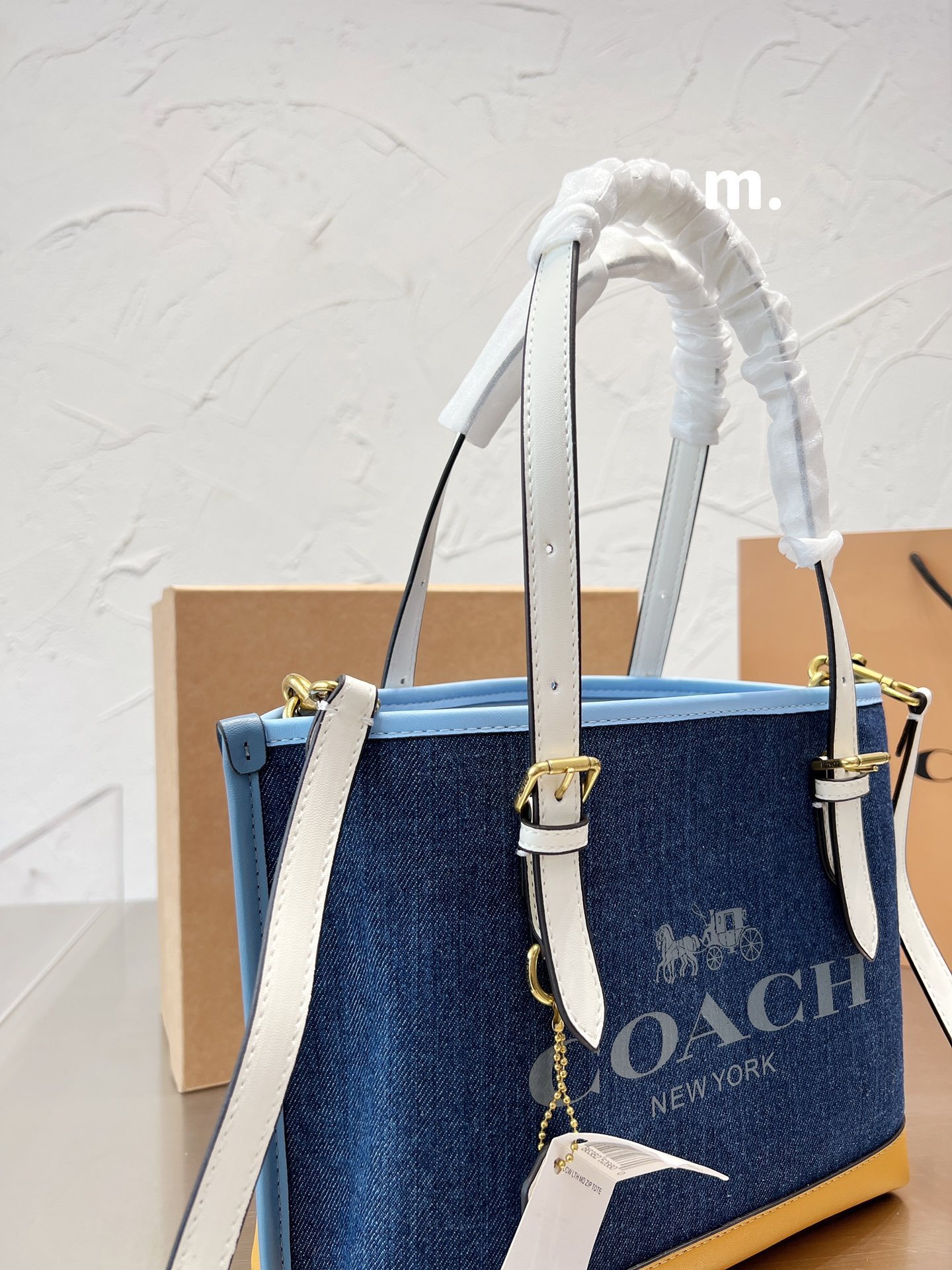 Coach mollie 25 women totebags-Luxeon