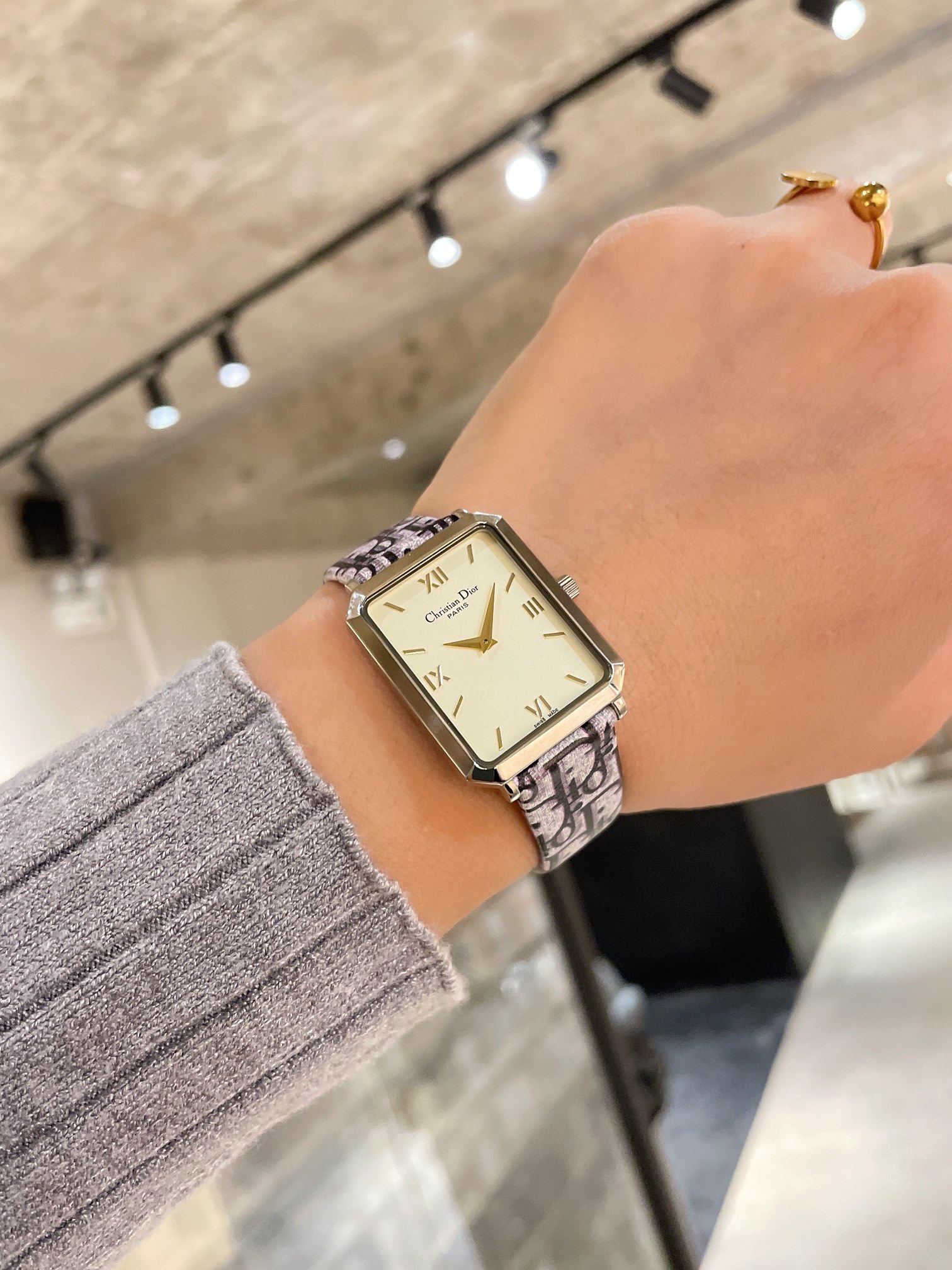 D style Malice Series Classic Vintage Watch 316 Fine Steel Roman Scale Quartz Movement-Luxeon