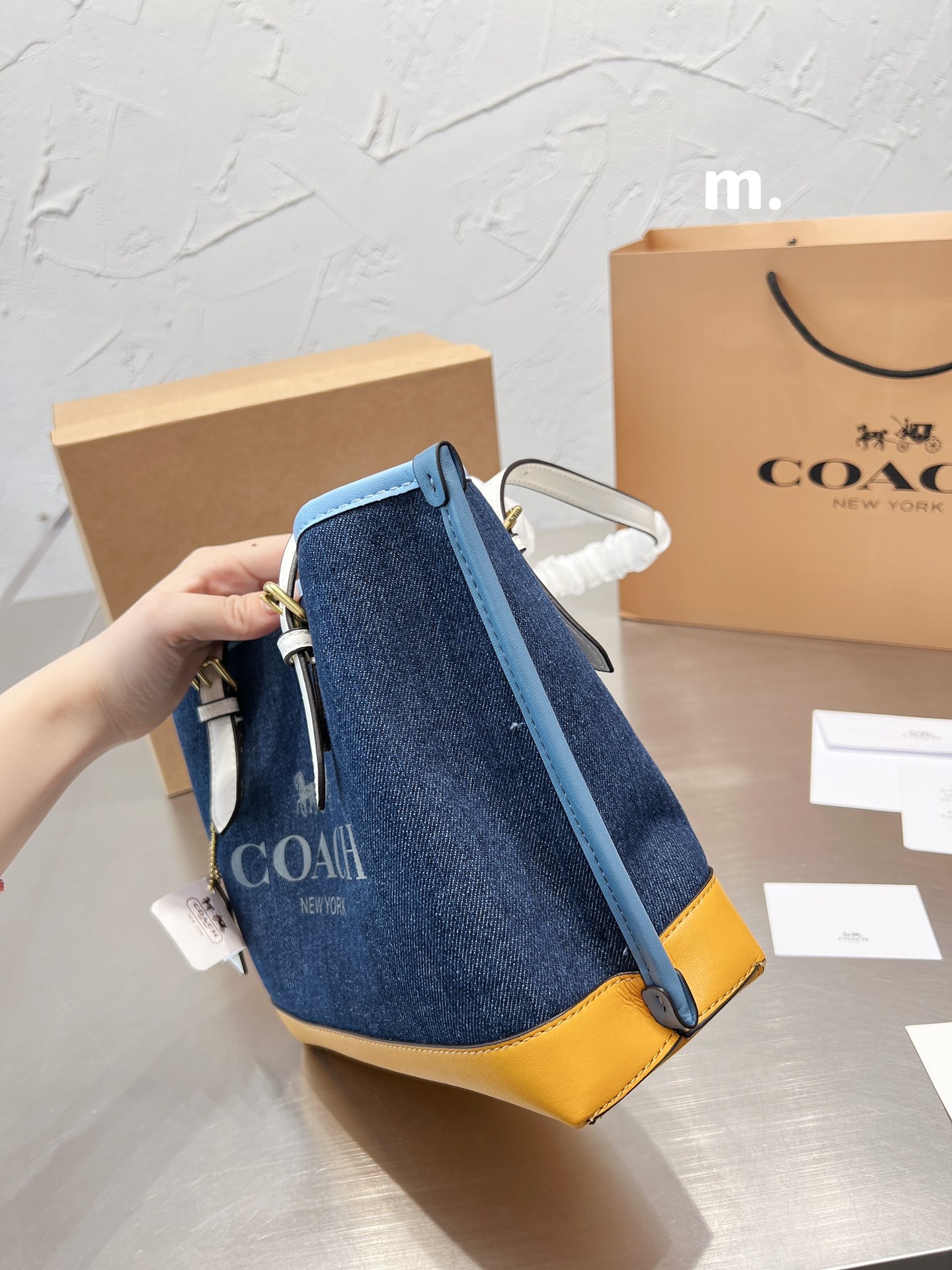 Coach mollie 25 women totebags-Luxeon