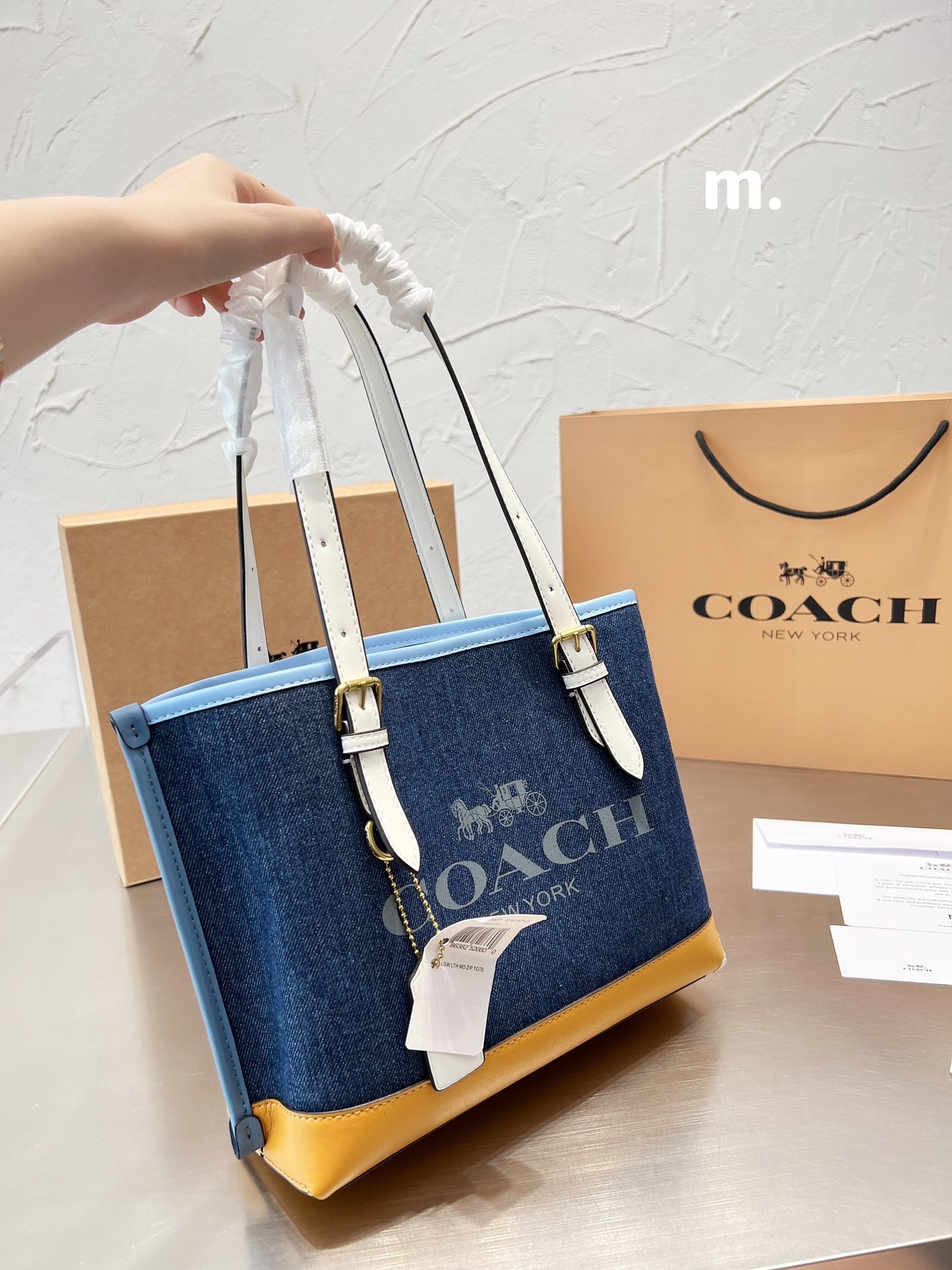 Coach mollie 25 women totebags-Luxeon