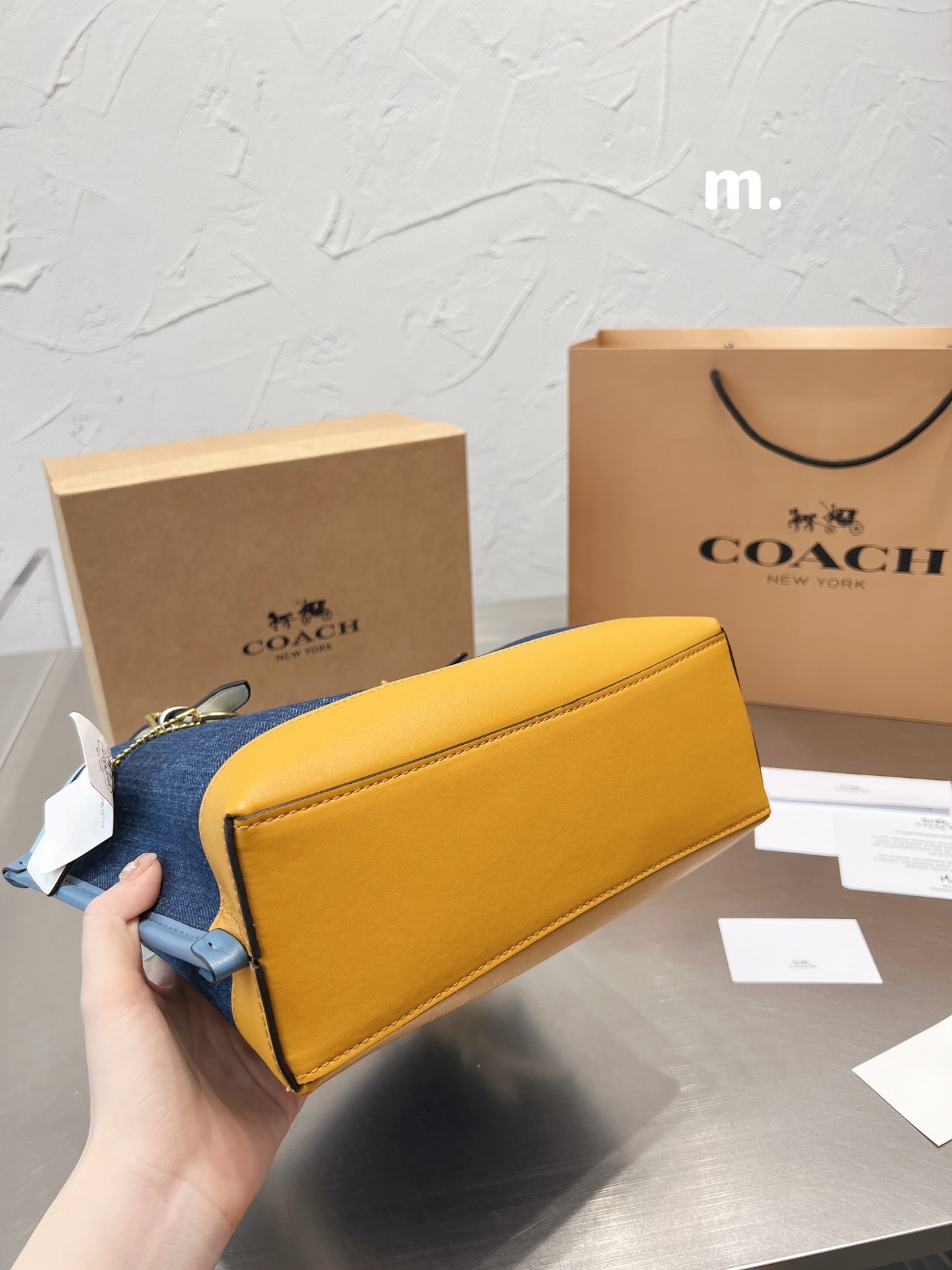 Coach mollie 25 women totebags-Luxeon