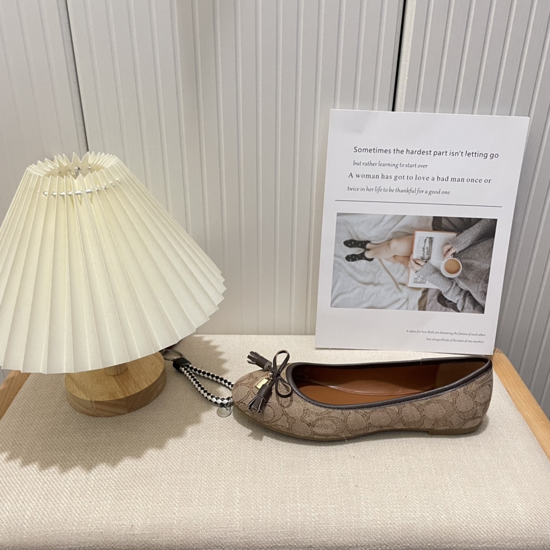 Coach new women bow-knot loafers flats-Luxeon