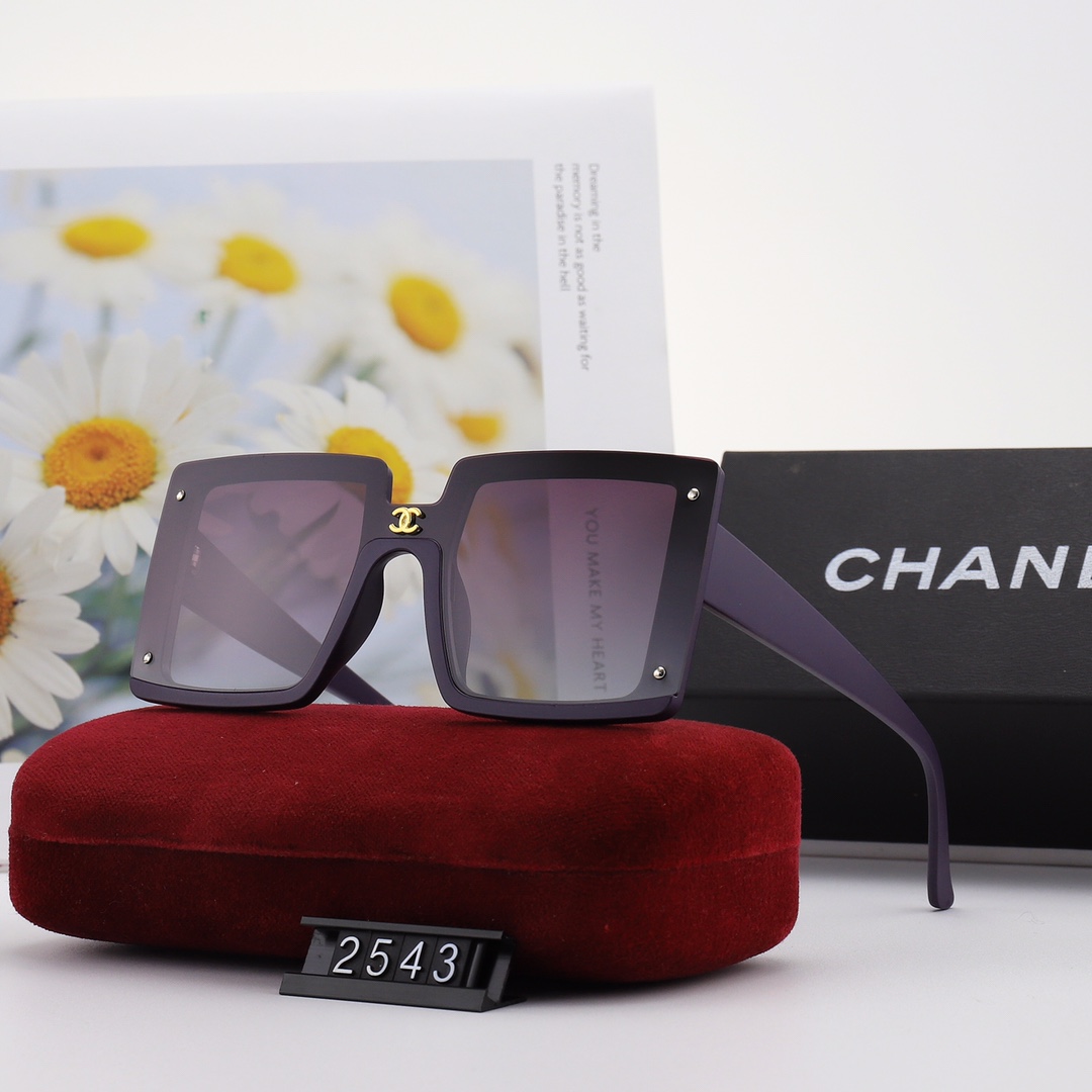 CHA Fashion New Retro Sunglasses-Luxeon