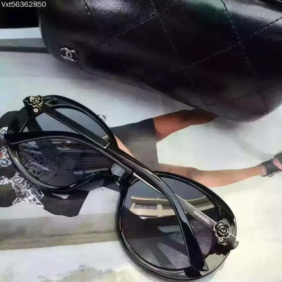 C Style 1763 Sunglasses