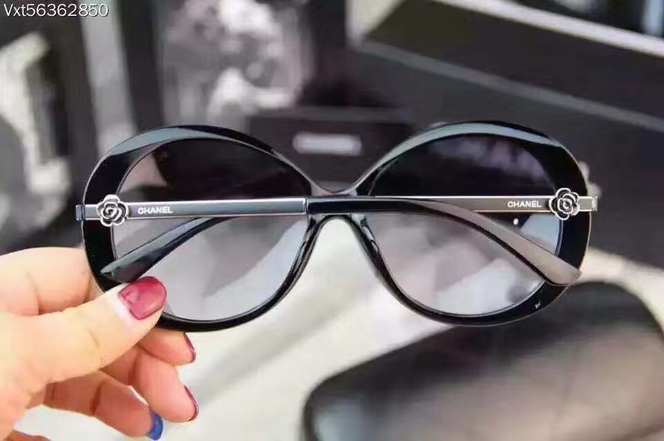 C Style 1763 Sunglasses