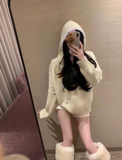 hooded sweater