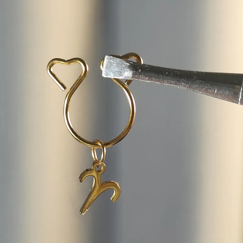 Custom Constellation Adjustable Nipple Clamp SM Accessories - image 3