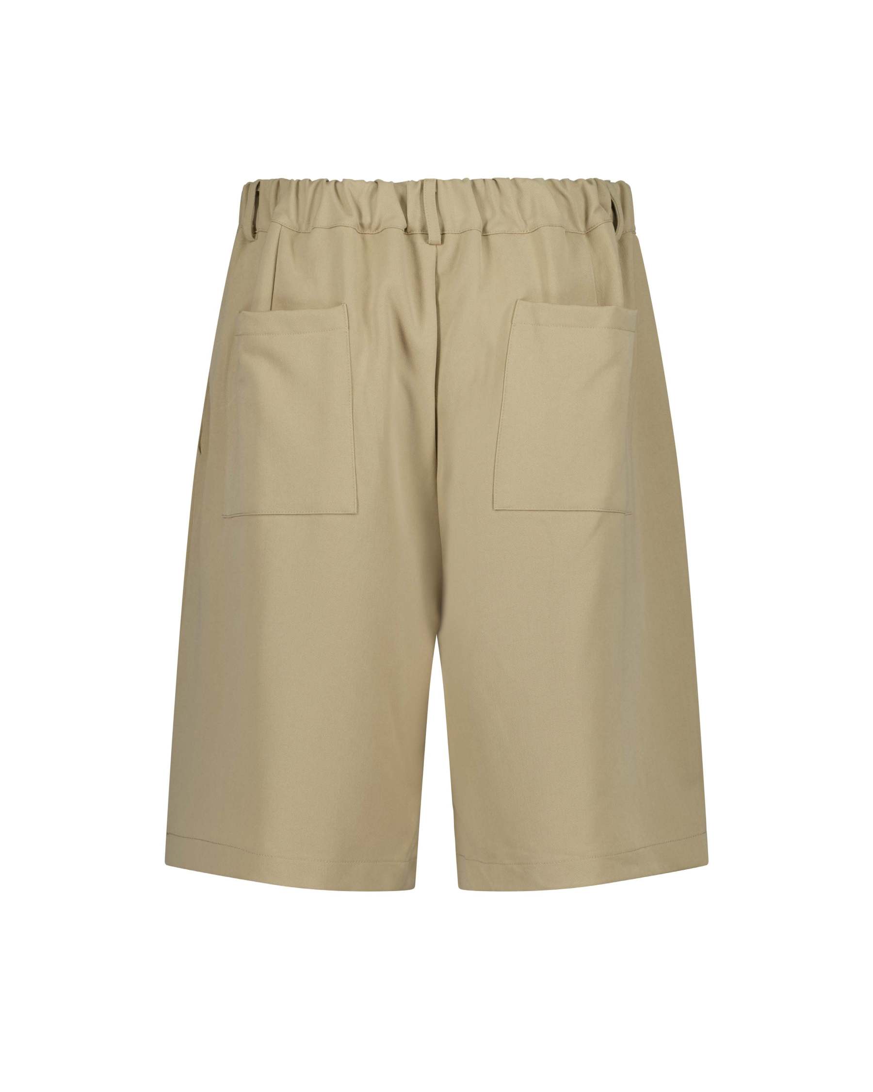 DUALSTASH PLEATED UTILITY SHORTS