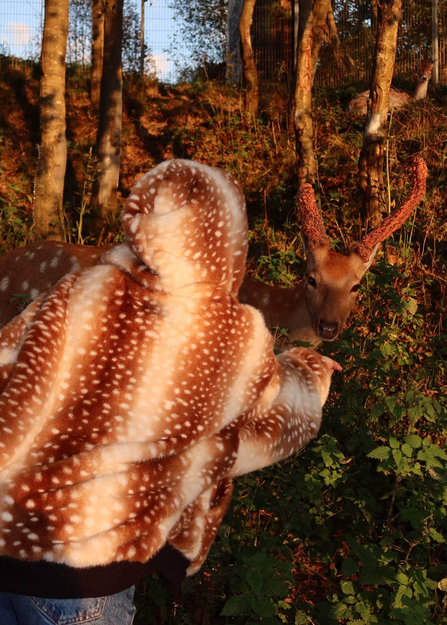 Vintage Sika Deer Print Reversible Furry Hoodie