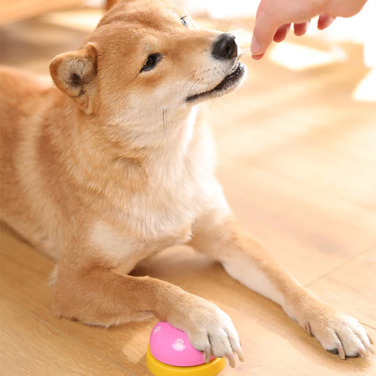 Pet Communication Buttons Toy Recording Voice Dog Speaking Training Tool Ringing the Bell to Eat