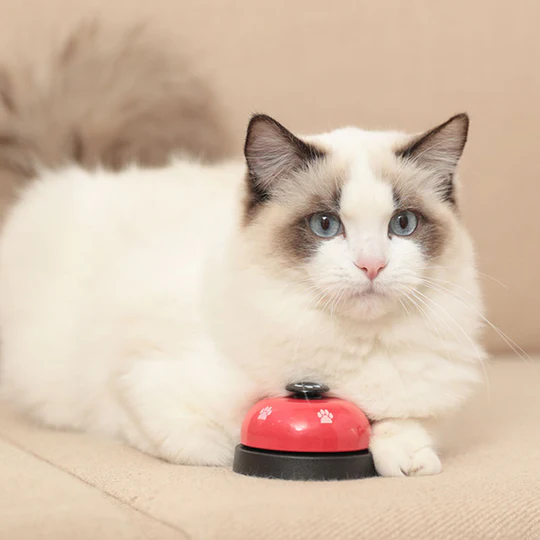 Pet Communication Buttons Toy Recording Voice Dog Speaking Training Tool Ringing the Bell to Eat