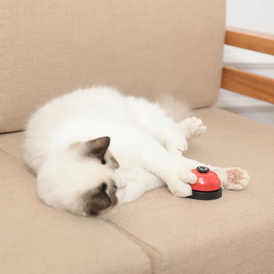 Pet Communication Buttons Toy Recording Voice Dog Speaking Training Tool Ringing the Bell to Eat