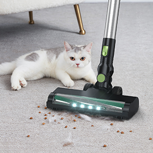 aspiradora inalámbrico