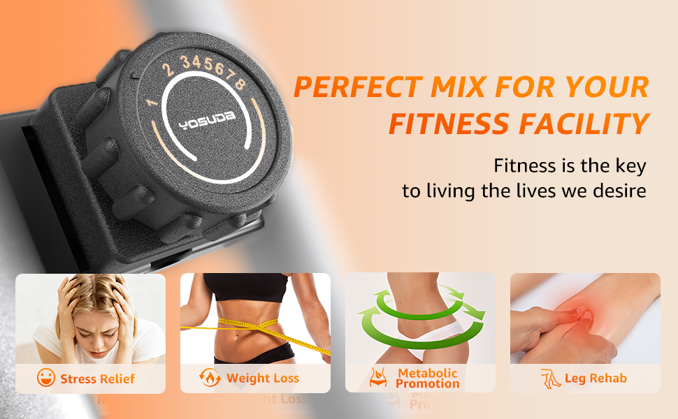 bicicleta est&aacute;tica plegable