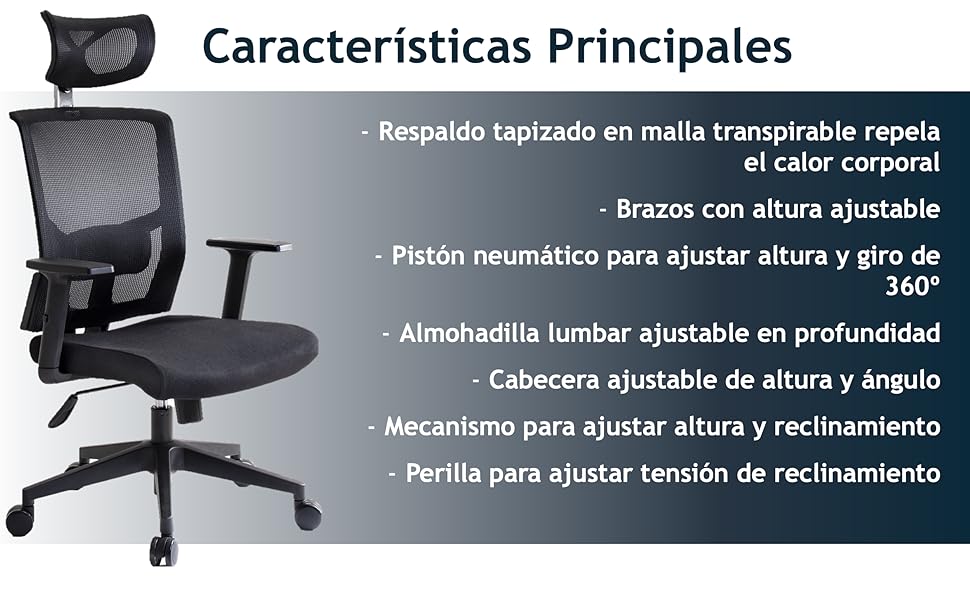 caracter&iacute;sticas