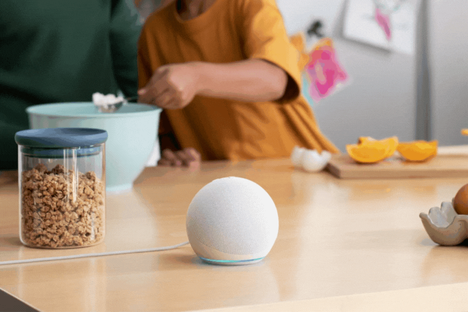 Alexa Supported Features — Blink Support