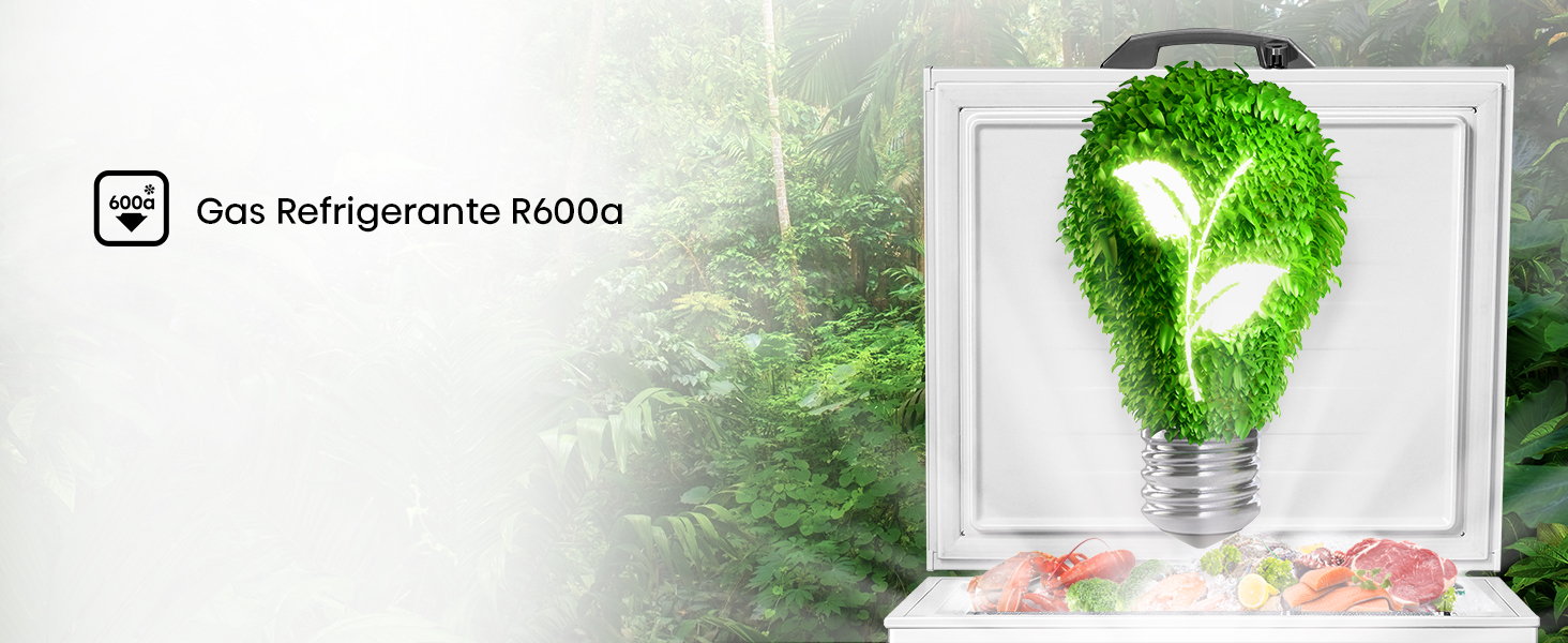 Gas refrigerante R600a