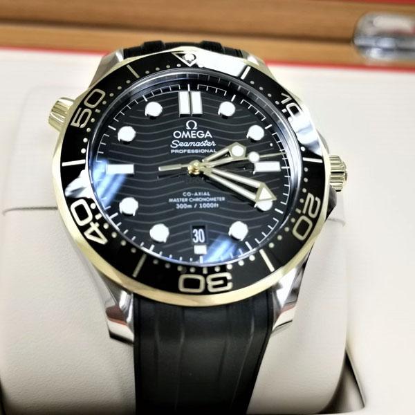 Seamaster 210.22.42.20.01.001-42MM