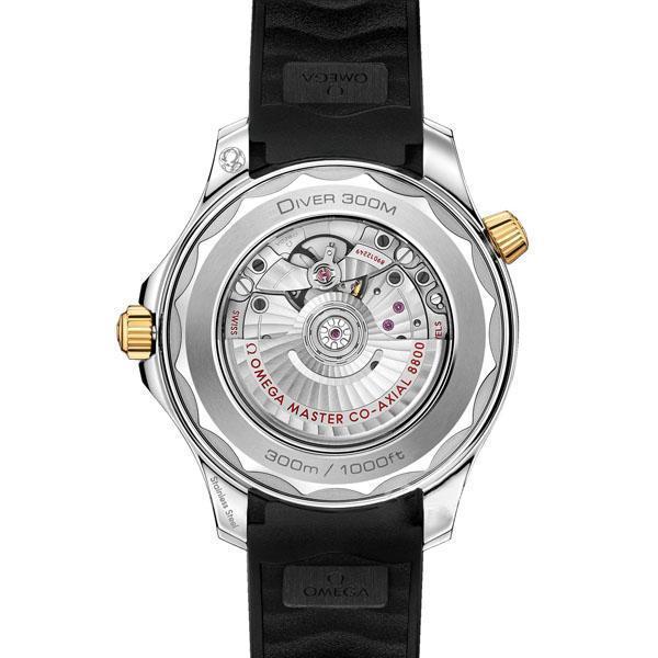 Seamaster 210.22.42.20.01.001-42MM