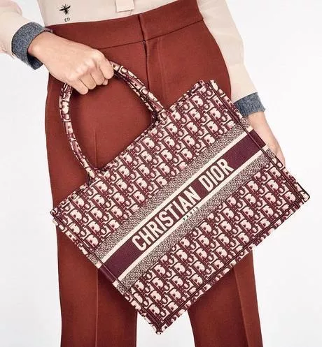DIOR BOOK TOTE Small Bag