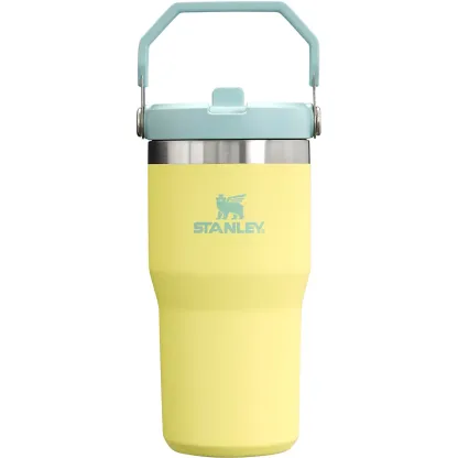 Stakhjgnley The IceFlow 20 oz Classic Flip Straw Tumbler