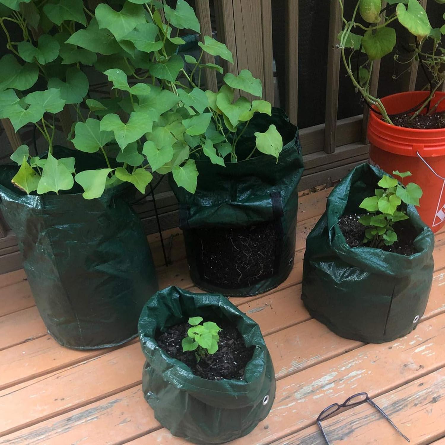This is a image alt