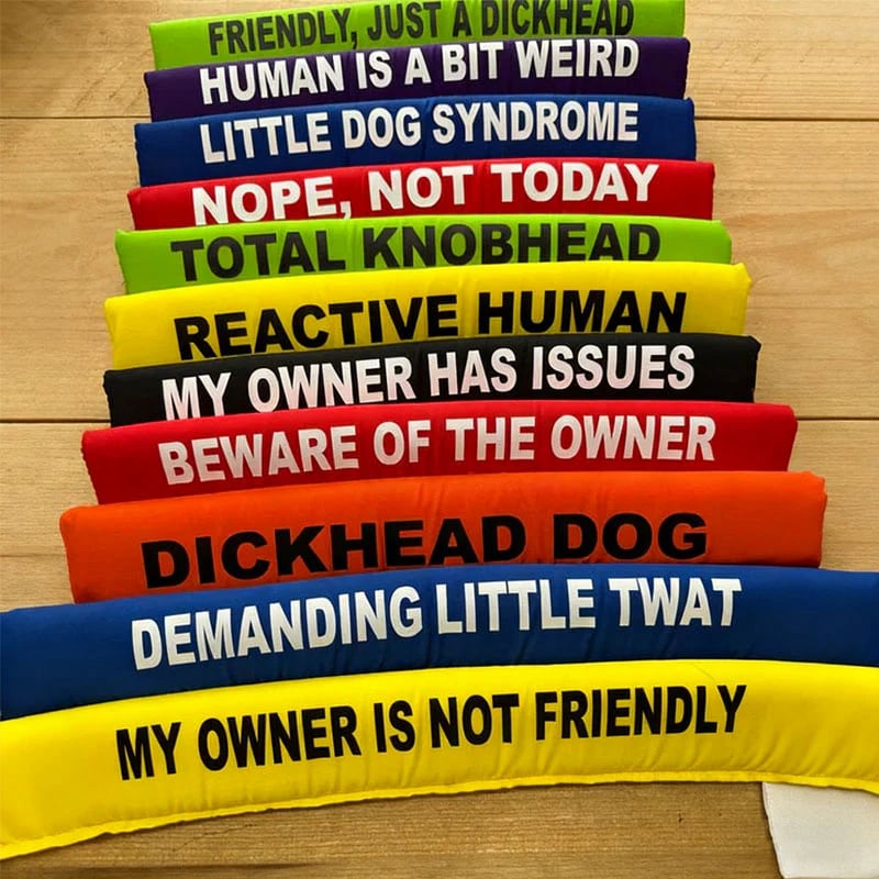 This is a image alt