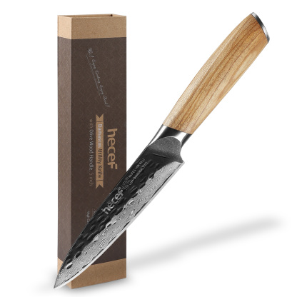 hecef 5 Inch Chef Knife Damascus Professional Japanese Knife, High Carbon Damascus Stainless Steel Kitchen Knife