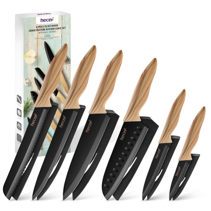 Hecef 6PCS Kitchen Knife Set Ultra Sharp Stainless Steel Chef's Knife with Knife Case