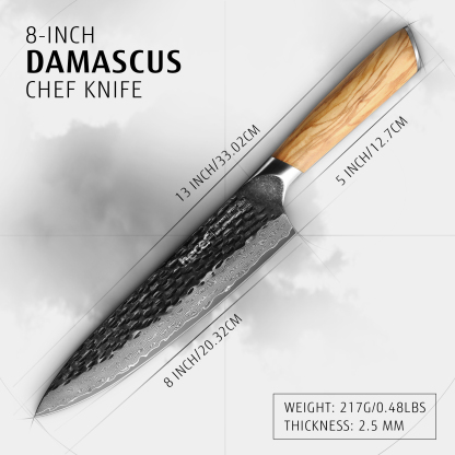 Hecef 8-Inch Japanese Chef Knife, Forged 67-Layer Damascus Steel Ultra Sharp Professional Hammered Carving Knife
