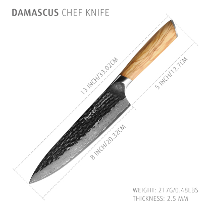 Hecef 8-Inch Japanese Chef Knife, Forged 67-Layer Damascus Steel Ultra Sharp Professional Hammered Carving Knife