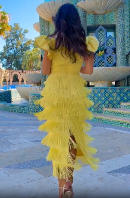 Ruffled Fringe V-Neck Midi Dress