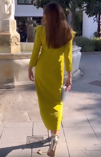 Very Peri Appliques Silver Dress