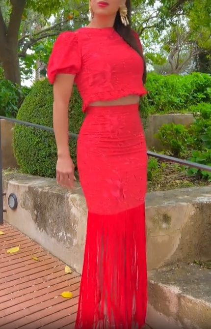 Embroidered Fringe Skirt Set