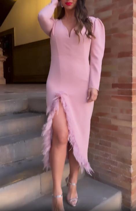 Feather - Trimmed Deep V Midi Dress